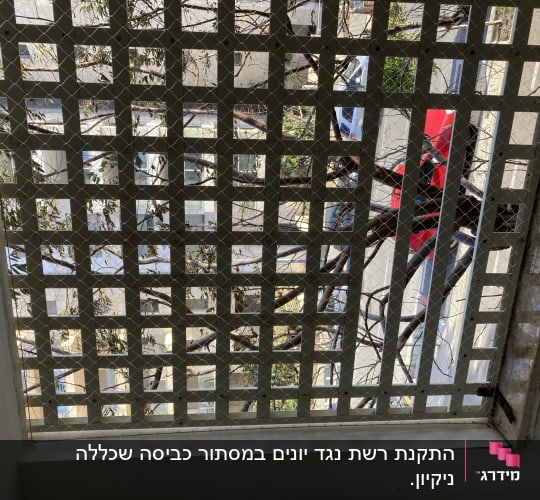 רשת מתכת על חלון למניעת כניסת יונים